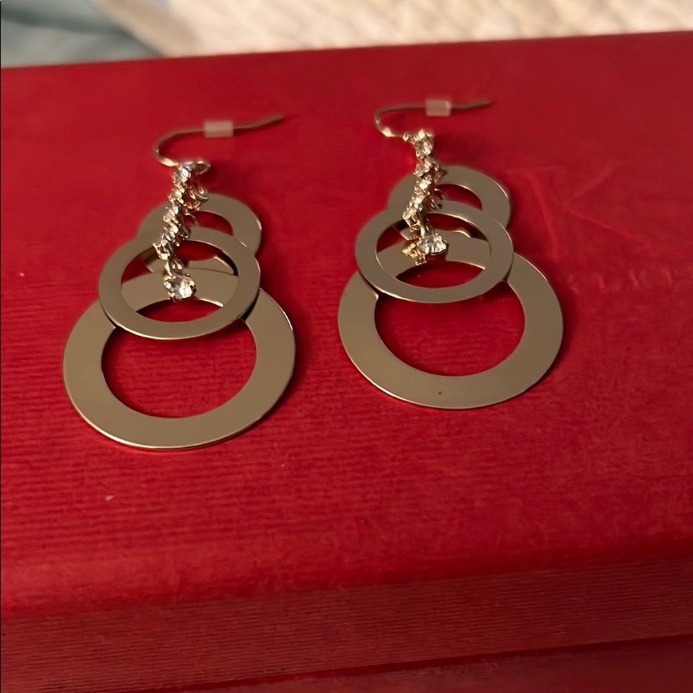 Elegant Silver Hoop Earrings